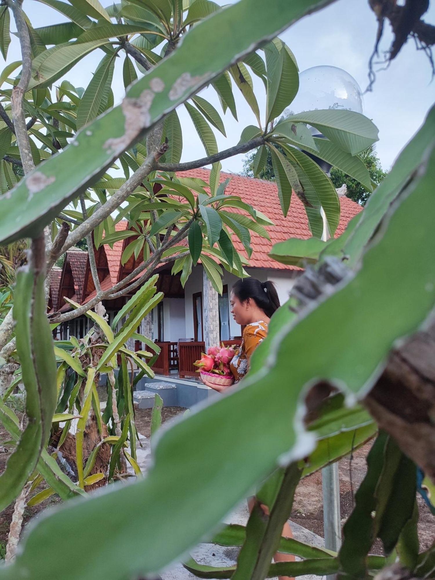 Santhi Guna Bungalow Toyapakeh Exterior foto
